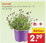 Lavendel im Angebot bei Netto Marken-Discount in Berlin Lavendel Angebote bei Netto Marken-Discount Berlin für 2,29 €