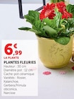 Plantes fleuries - Super U à Besançon Plantes fleuries en promo chez Super U Besançon à 6,99 €