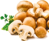 Kulturchampignons für 1,29 € bei Netto mit dem Scottie im Angebot Kulturchampignons im aktuellen Netto mit dem Scottie Prospekt