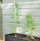 Lot de 7 tuteurs en bambou 0.90 m à 1,99 € dans le catalogue Super U