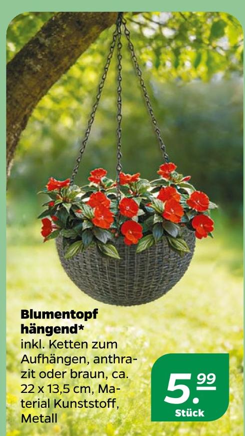 Blumentopf hängend