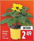 Sonnenblume für 2,49 € bei E center im Angebot Sonnenblume im aktuellen E center Prospekt