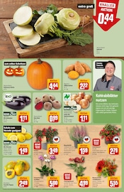 Pflanzen im REWE Prospekt in Laatzen Aktueller REWE Prospekt mit Pflanzen, "Dein Markt", Seite 7