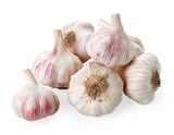 Aktuelles Knoblauch Angebot bei REWE in München ab 0,99 €