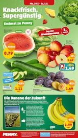 Aktueller Penny-Markt Prospekt mit Zucchini, "Wer günstig will, muss Penny.", Seite 2