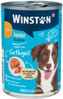 Hund Junior Pastete Angebote von Winston bei Rossmann Oldenburg für 0,79 €