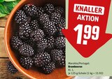 Brombeeren im Angebot bei REWE in Magdeburg Brombeeren Angebote bei REWE Magdeburg für 1,99 €