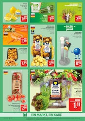 Kartoffeln im Marktkauf Prospekt in Görlitz Aktueller Marktkauf Prospekt mit Kartoffeln, "AUSWAHL RIESIG, PREISE NIEDRIG", Seite 7