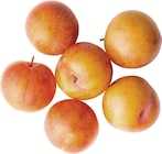 Promo Mirabelle à 5,29 € dans le catalogue Supermarchés Match à La Madeleine
