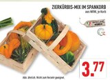 Zierkürbis-Mix im Spankorb im Angebot bei Marktkauf in Brühl Zierkürbis-Mix im Spankorb Angebote bei Marktkauf Brühl für 3,77 €