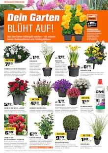 Blumen im OBI Prospekt "WIR FEIERN, DU SPARST!" mit 24 Seiten (Hildesheim)
