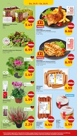 WC Reiniger im Penny Prospekt in Cottbus Aktueller Penny Prospekt mit WC Reiniger, "Wer günstig will, muss Penny.", Seite 32