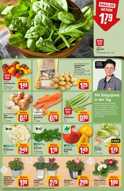 Ähnliche Angebote wie Zitronenbaum im Prospekt "Dein Markt" auf Seite 7 von REWE in Ettlingen