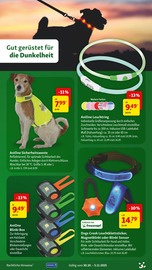 Aktueller Fressnapf Prospekt mit Box, "Jetzt schon auf Weihnachten freuen", Seite 17