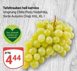 Tafeltrauben hell kernlos Angebote bei GLOBUS Ludwigshafen für 4,44 €