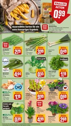 REWE Lauch im Prospekt 