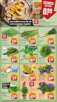 Spargel im REWE Prospekt "Dein Markt" mit 30 Seiten (München)
