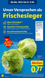 Salat im Lidl Prospekt in Pforzheim Aktueller Lidl Prospekt mit Salat, "LIDL LOHNT SICH", Seite 2