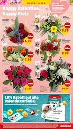 Blumen im Penny Prospekt Wer günstig will, muss Penny. auf S. 13