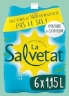 Eau minérale naturelle gazeuse - SALVETAT en promo chez Netto Clermont-Ferrand à 1,53 €