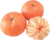 Mandarinen von  im aktuellen V-Markt Prospekt für 1,99 €