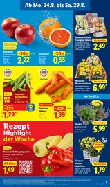 Chrysantheme im Lidl Prospekt in Salzgitter Aktueller Lidl Prospekt mit Chrysantheme, "LIDL LOHNT SICH", Seite 3