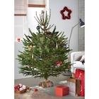 Sapin Nordmann en promo chez Carrefour Market Montpellier à 16,90 €