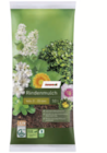 Rindenmulch im Angebot bei toom Baumarkt in Bergisch Gladbach Rindenmulch Angebote bei toom Baumarkt Bergisch Gladbach für 6,99 €