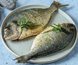 Dorade Rosmarin-Salbei-Melisse im Angebot bei tegut in Würzburg Dorade Rosmarin-Salbei-Melisse Angebote bei tegut Würzburg für 2,49 €