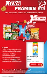 Salz Angebote im Prospekt "Aktuelle Angebote" von Kaufland Salz Angebote im Prospekt "Aktuelle Angebote" von Kaufland auf Seite 3