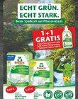 ALL-IN-1 Spül-Tabs Limone Angebote von Frosch bei E center Kamp-Lintfort für 5,99 €