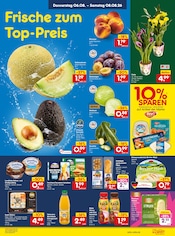Zucchini im Netto Marken-Discount Prospekt in Heilbronn Aktueller Netto Marken-Discount Prospekt mit Zucchini, "Aktuelle Angebote", Seite 39