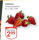Aktuelles Erdbeeren Angebot bei GLOBUS in Braunschweig ab 2,99 €
