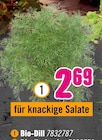 Bio-Dill für 2,69 € bei Hornbach im Angebot Bio-Dill im aktuellen Hornbach Prospekt