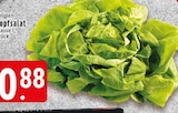 Kopfsalat Angebote bei EDEKA Krefeld für 0,88 €