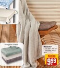 Wohndecke im Angebot bei REWE in Gießen Wohndecke Angebote bei REWE Gießen für 9,99 €