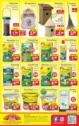 Blumenerde Angebot im aktuellen Zimmermann Prospekt auf Seite 10