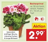 Becherprimel Angebote bei Netto Marken-Discount Koblenz für 2,99 €
