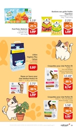 Prix et réduction Alimentation Animaux dans le prospectus Colruyt en cours Offre Alimentation Animaux dans le catalogue Colruyt du moment à la page 29