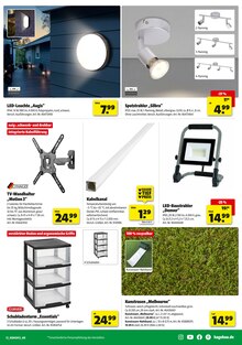 Teppich im Hagebaumarkt Prospekt "So günstig geht das!" mit 16 Seiten (Paderborn)