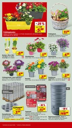 Blumenkasten Angebot im aktuellen toom Baumarkt Prospekt auf Seite 10