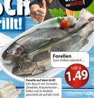 Forellen bei famila Nordost im Prospekt besser als gut! für 1,49 €