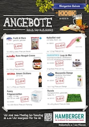 Aktueller Hamberger Prospekt mit Rindfleisch, "SPARGEL", Seite 3