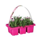 Jardinière de kalanchoé ou barquette de 6 œillets parfumés - Lidl à Nîmes Jardinière de kalanchoé ou barquette de 6 œillets parfumés en promo chez Lidl Nîmes à 6,99 €