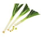 Aldi Sézanne - Promo Poireaux Promo Poireaux à 1,19 € dans le catalogue Aldi à Sézanne