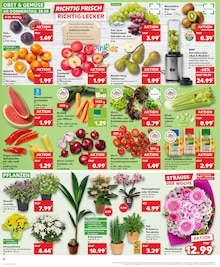 Blumen im Kaufland Prospekt "Aktuelle Angebote" mit 32 Seiten (Nürnberg)