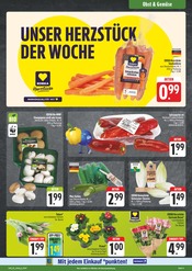 Blumen im EDEKA Prospekt in Suhl Aktueller EDEKA Prospekt mit Blumen, "Wir lieben Lebensmittel!", Seite 9