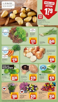 Spargel im aktuellen REWE Prospekt (Augsburg) Spargel im REWE Prospekt "Dein Markt" mit 18 Seiten (Augsburg)