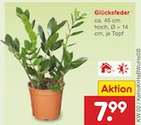 Glücksfeder bei Netto Marken-Discount im Christdorf Prospekt für 7,99 €