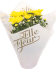 CHRYSANTHÈME - GARDENLINE - Aldi à Malakoff CHRYSANTHÈME - GARDENLINE en promo chez Aldi Malakoff à 3,49 €